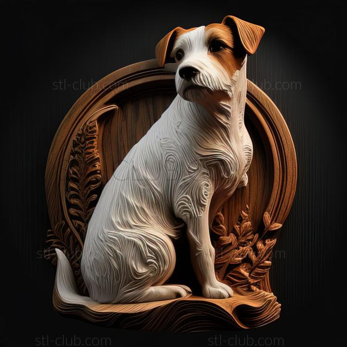 st Parson Russell Terrier dog